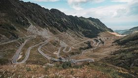 VIDEO Un copil din Serbia a fost rănit de urs pe Transfăgărășan. Animalul agresiv este căutat de autorități